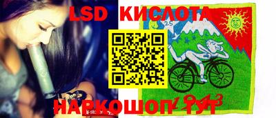 амф Гусев