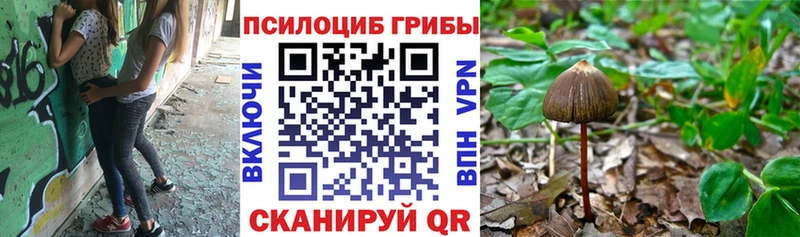 где можно купить   Янаул  Псилоцибиновые грибы прущие грибы 