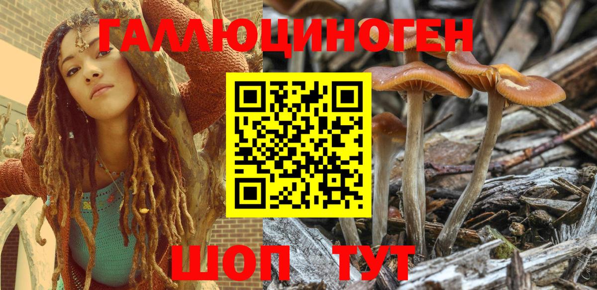 купить  сайты  Вход с VPN  Янаул  Галлюциногенные грибы MAGIC MUSHROOMS 